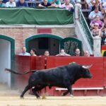 Valencia. Viernes 26 de julio de 2019