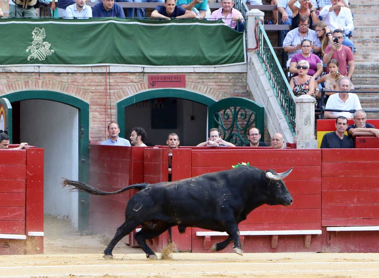 Valencia. Viernes 26 de julio de 2019