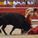 Pamplona. Domingo 7 de julio de 2019