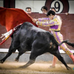 Valencia. Sábado 27 de julio de 2019