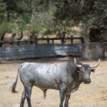 Valencia. Jueves 25 de julio de 2019