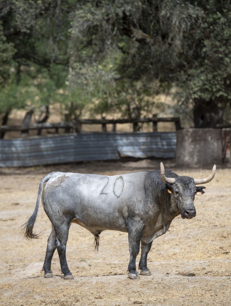 Valencia. Jueves 25 de julio de 2019