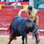 Valencia. Sábado 27 de julio de 2019