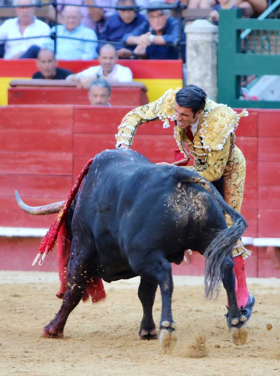 Valencia. Sábado 27 de julio de 2019