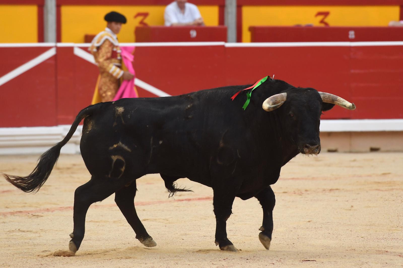 Pamplona. Viernes 4 de julio de 2019