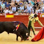 Valencia. Viernes 26 de julio de 2019