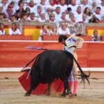 Pamplona. Miércoles 10 de julio de 2019. Feria de San Fermín. Toros de Jandilla y Vegahermosa para Diego Urdiales, Sebastián Castella y Roca Rey