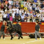 Valencia. Domingo 28 de julio de 2019