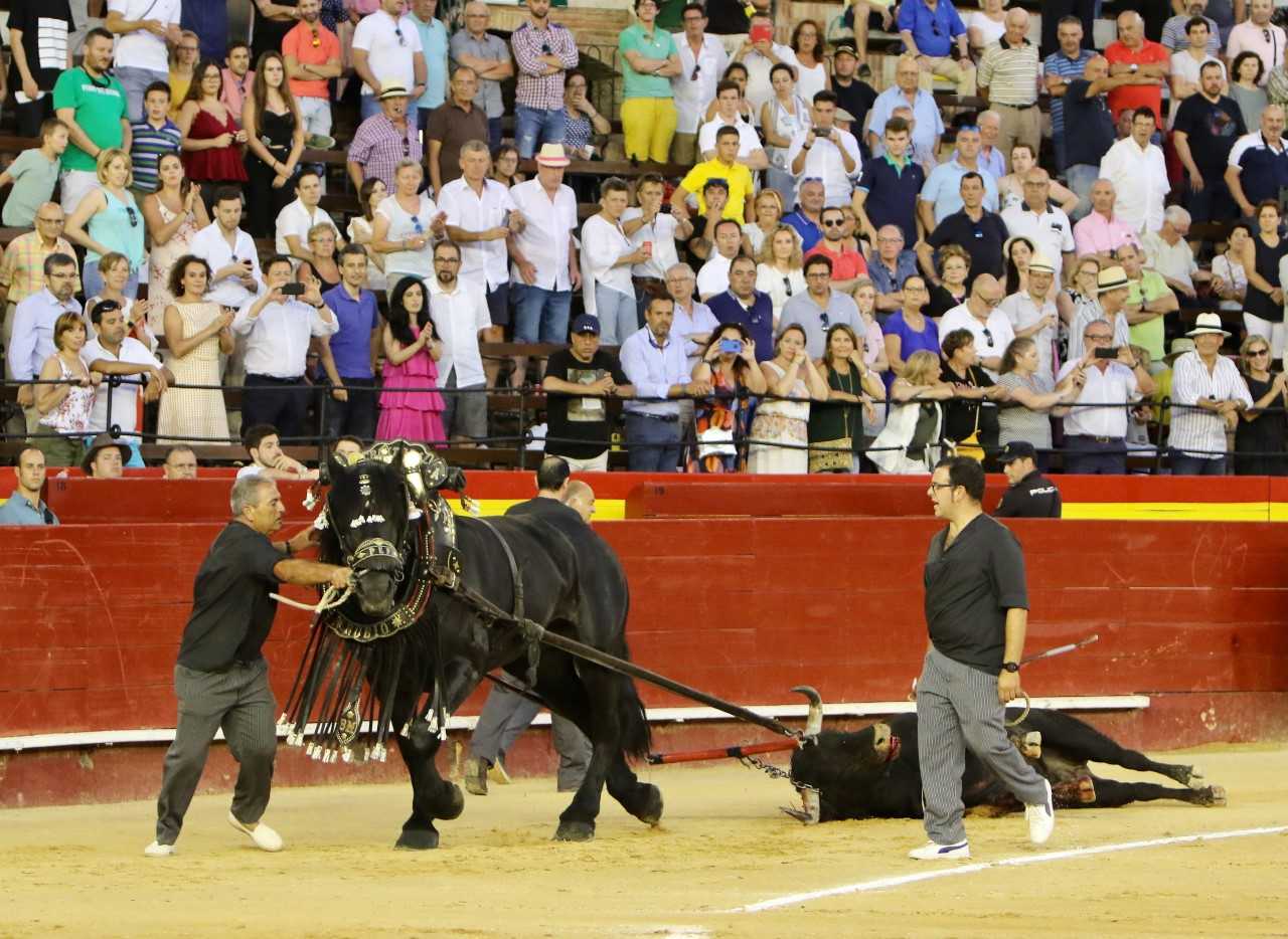 Valencia. Domingo 28 de julio de 2019