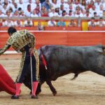 Pamplona. Martes 9 de julio de 2019