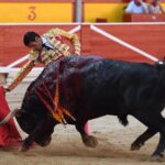Pamplona. Domingo 7 de julio de 2019