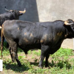 Sorteo. Santander, 21 de julio de 2019