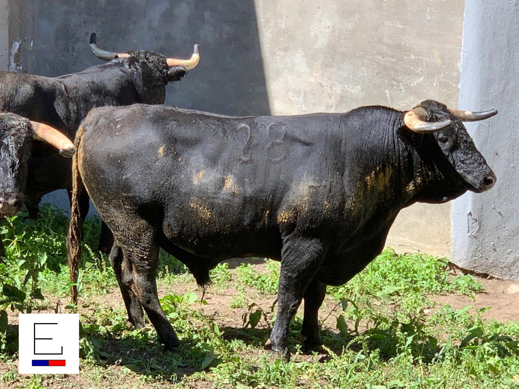 Sorteo. Santander, 21 de julio de 2019