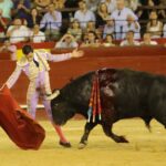 Valencia. Domingo 28 de julio de 2019