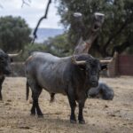 Valencia. Sábado 27 de julio de 2019