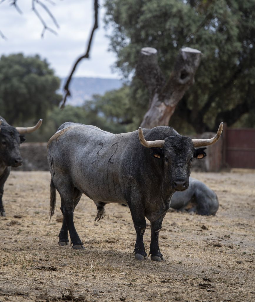 Valencia. Sábado 27 de julio de 2019
