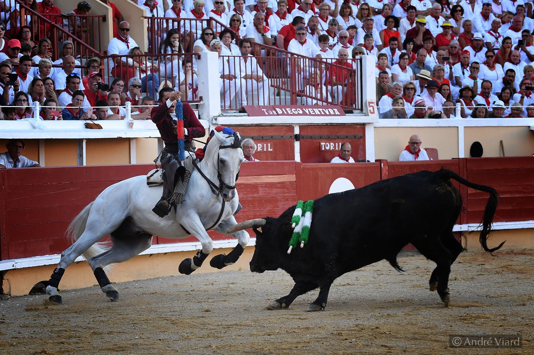Bayona. Domingo 28 de julio de 2019