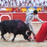 Pamplona. Miércoles 10 de julio de 2019. Feria de San Fermín. Toros de Jandilla y Vegahermosa para Diego Urdiales, Sebastián Castella y Roca Rey