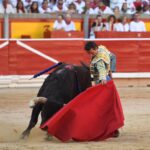 Pamplona. Miércoles 10 de julio de 2019. Feria de San Fermín. Toros de Jandilla y Vegahermosa para Diego Urdiales, Sebastián Castella y Roca Rey