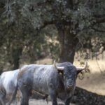 Valencia. Sábado 27 de julio de 2019