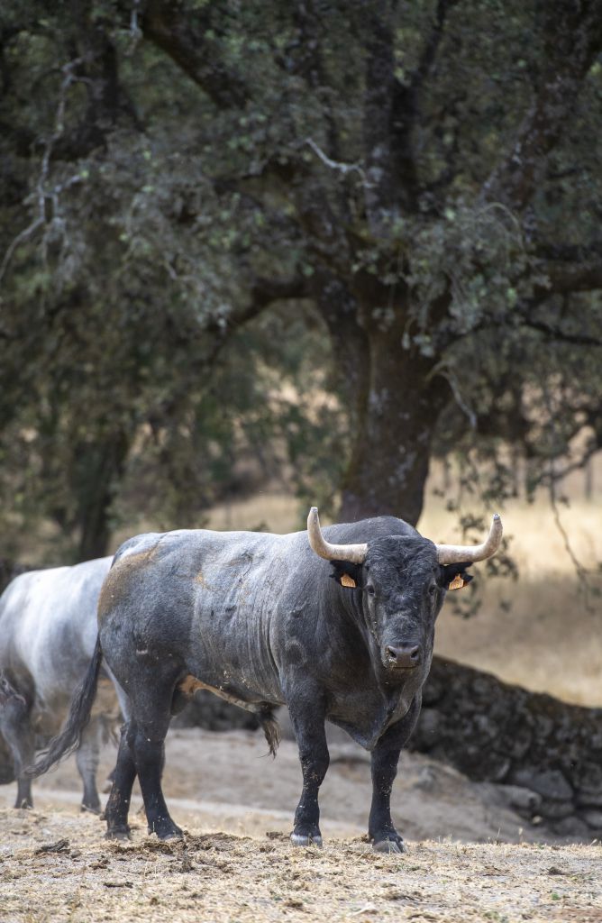 Valencia. Sábado 27 de julio de 2019