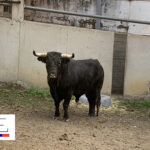 Sorteo. Santander, 21 de julio de 2019