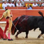 Pamplona. Domingo 7 de julio de 2019