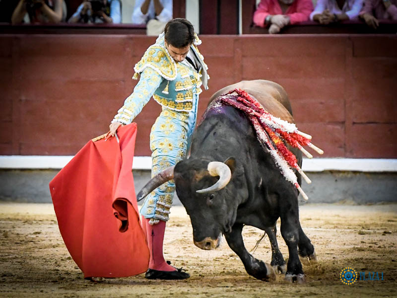 Madrid, jueves 18 de julio de 2019.