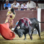 Madrid. Jueves 11 de julio de 2019