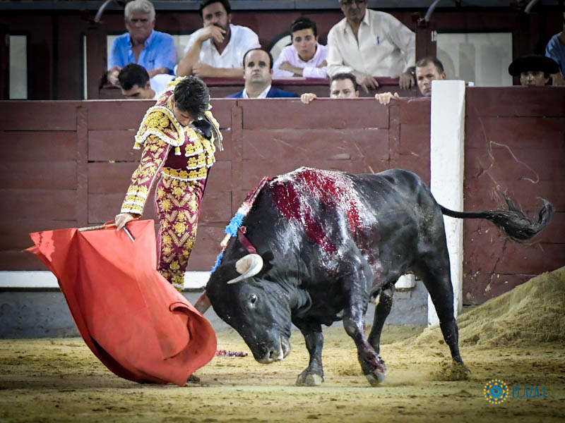 Madrid. Jueves 11 de julio de 2019