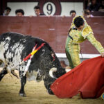 Madrid. Jueves 11 de julio de 2019