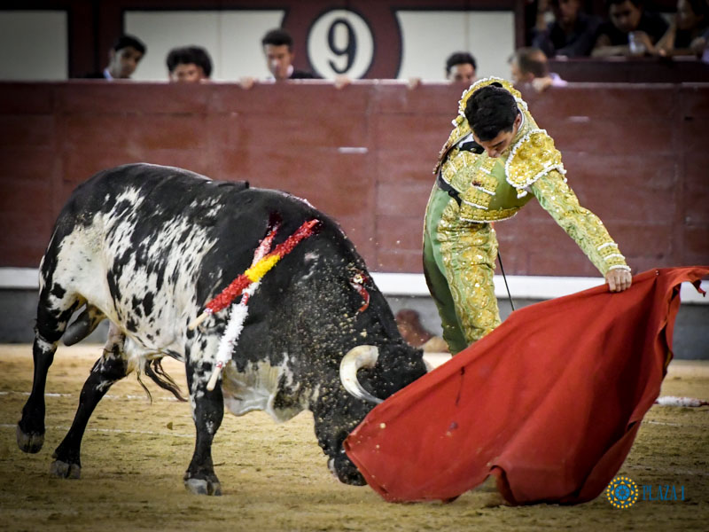 Madrid. Jueves 11 de julio de 2019