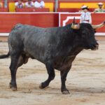 Pamplona. Martes 9 de julio de 2019