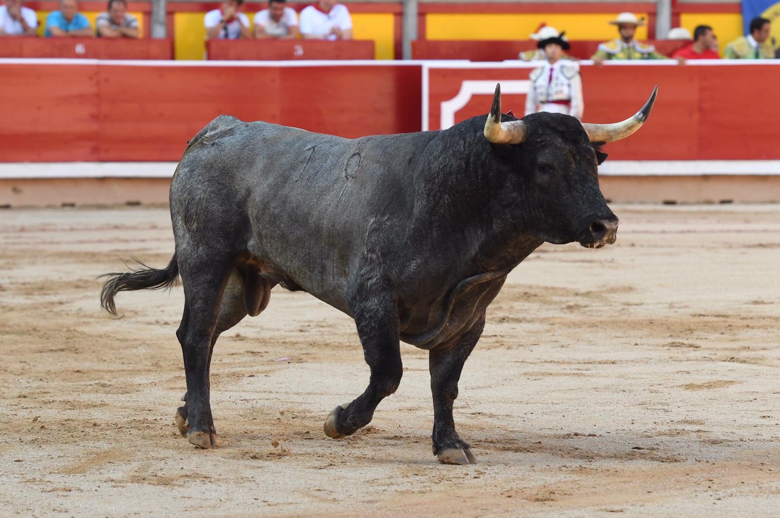 Pamplona. Martes 9 de julio de 2019