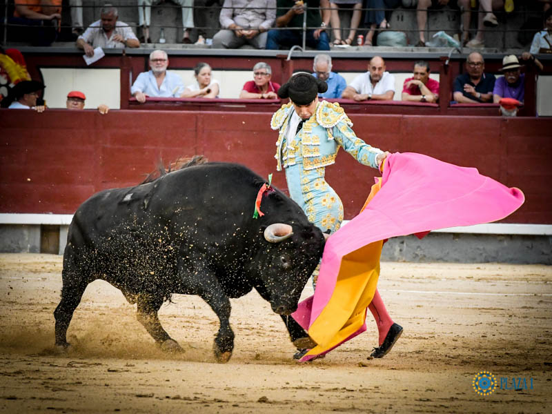 Madrid, jueves 18 de julio de 2019.