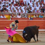 Pamplona. Miércoles 10 de julio de 2019. Feria de San Fermín. Toros de Jandilla y Vegahermosa para Diego Urdiales, Sebastián Castella y Roca Rey