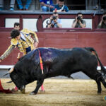 Madrid. Jueves 11 de julio de 2019