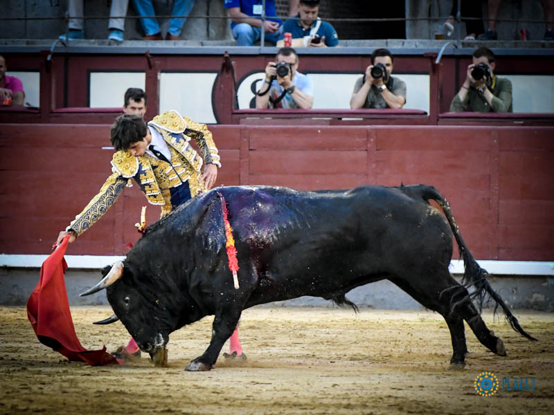 Madrid. Jueves 11 de julio de 2019
