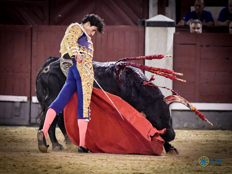 Madrid. Jueves 11 de julio de 2019