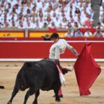 Pamplona. Miércoles 10 de julio de 2019. Feria de San Fermín. Toros de Jandilla y Vegahermosa para Diego Urdiales, Sebastián Castella y Roca Rey