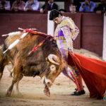 Madrid, jueves 18 de julio de 2019.