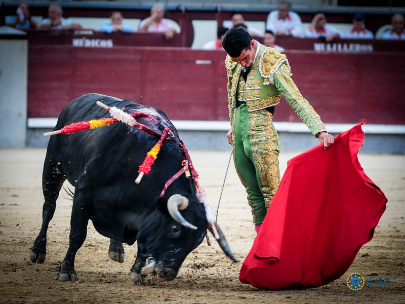 Madrid. Jueves 11 de julio de 2019
