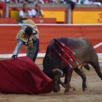 Pamplona. Martes 9 de julio de 2019