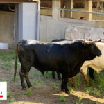 Sorteo. Santander, 21 de julio de 2019