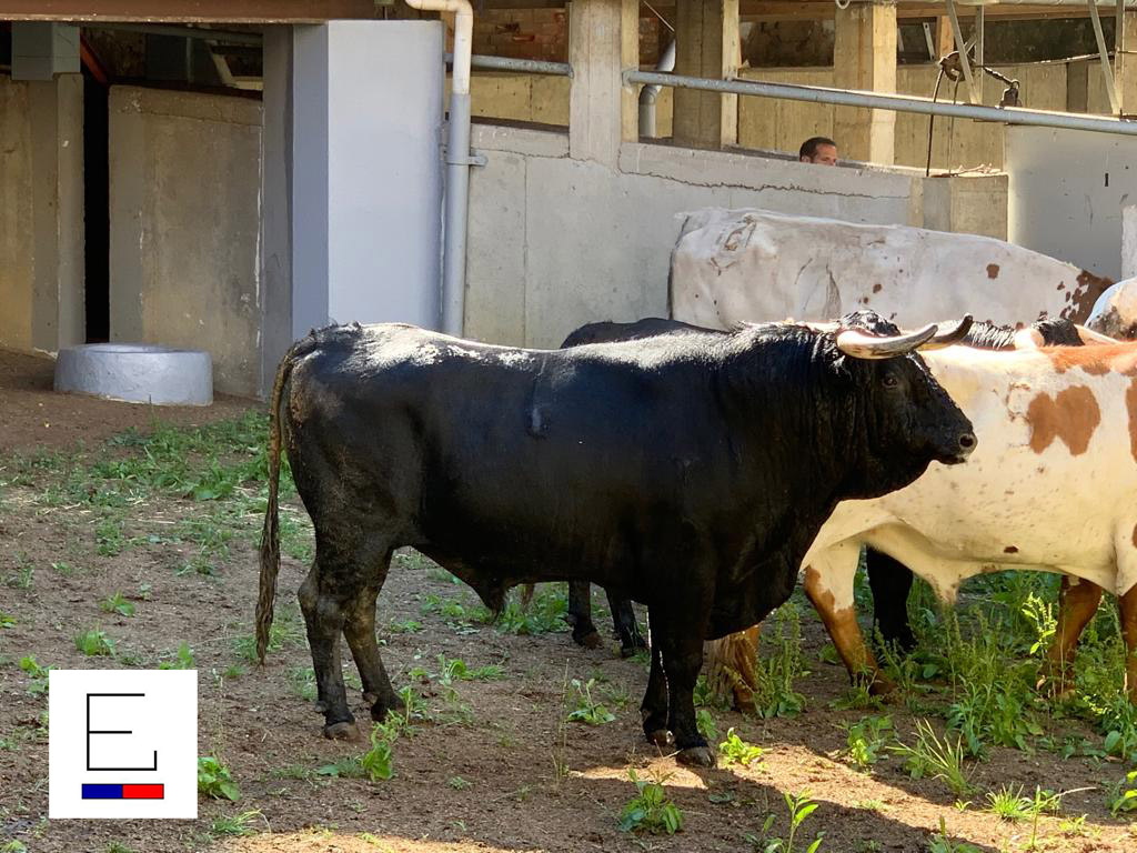 Sorteo. Santander, 21 de julio de 2019