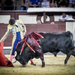 Madrid. Jueves 11 de julio de 2019