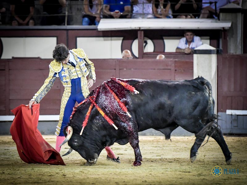 Madrid. Jueves 11 de julio de 2019