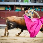 Madrid, jueves 4 de julio de 2019