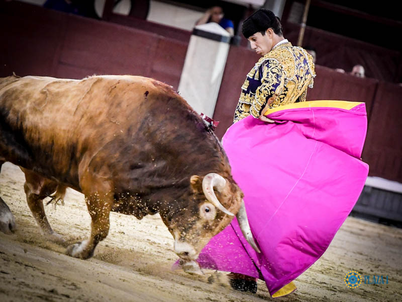 Madrid, jueves 18 de julio de 2019.