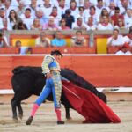 Pamplona. Miércoles 10 de julio de 2019. Feria de San Fermín. Toros de Jandilla y Vegahermosa para Diego Urdiales, Sebastián Castella y Roca Rey